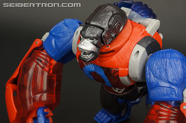 Transformers Platinum Edition Year of the Monkey Optimus Primal (Image #50 of 161)