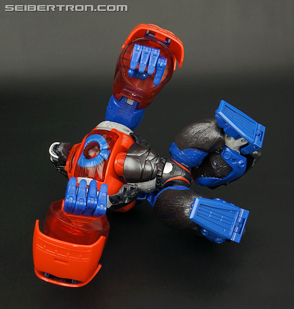 Transformers Platinum Edition Year of the Monkey Optimus Primal (Image #55 of 161)