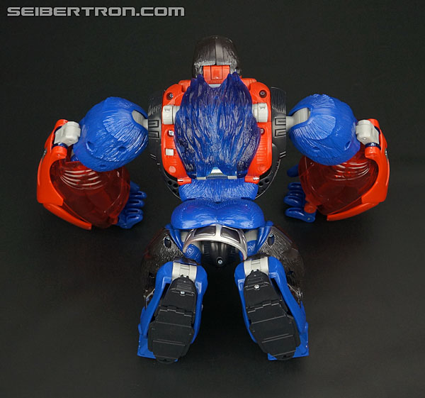 Transformers Platinum Edition Year of the Monkey Optimus Primal (Image #56 of 161)