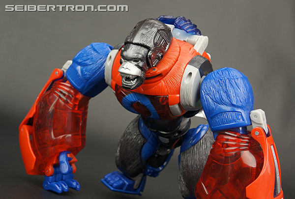 Transformers Platinum Edition Year of the Monkey Optimus Primal (Image #58 of 161)
