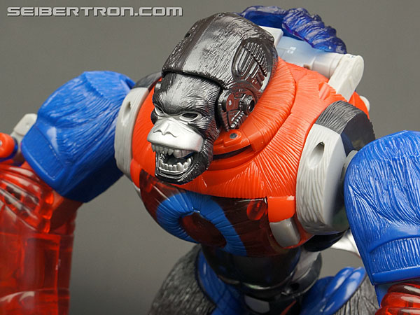 Transformers Platinum Edition Year of the Monkey Optimus Primal (Image #59 of 161)