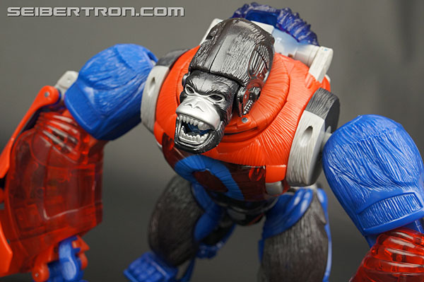 Transformers Platinum Edition Year of the Monkey Optimus Primal (Image #60 of 161)