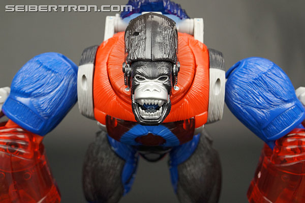 Transformers Platinum Edition Year of the Monkey Optimus Primal (Image #62 of 161)