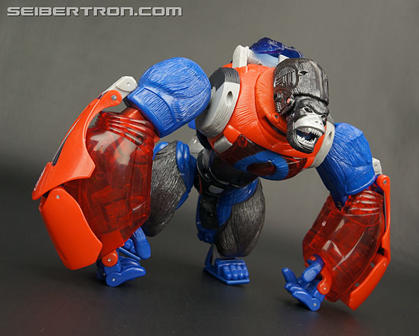 Transformers Platinum Edition Year of the Monkey Optimus Primal (Image #65 of 161)