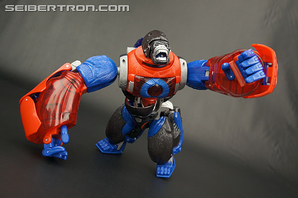 Transformers Platinum Edition Year of the Monkey Optimus Primal (Image #66 of 161)