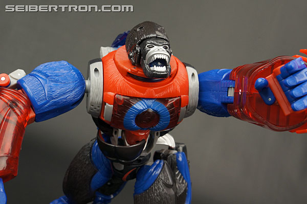 Transformers Platinum Edition Year of the Monkey Optimus Primal (Image #67 of 161)