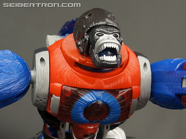 Transformers Platinum Edition Year of the Monkey Optimus Primal (Image #68 of 161)