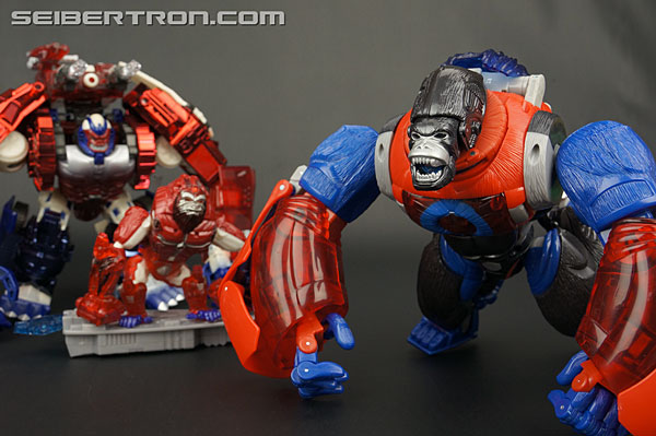 Transformers Platinum Edition Year of the Monkey Optimus Primal (Image #72 of 161)