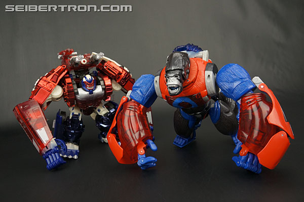 Transformers Platinum Edition Year of the Monkey Optimus Primal (Image #74 of 161)