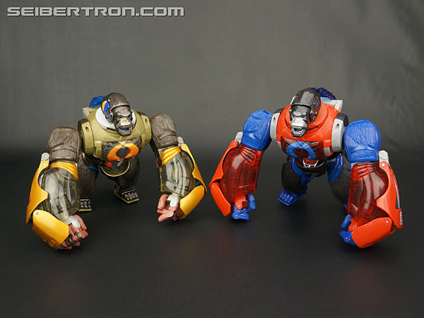 Transformers Platinum Edition Year of the Monkey Optimus Primal (Image #76 of 161)