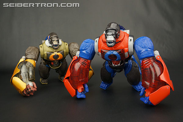 Transformers Platinum Edition Year of the Monkey Optimus Primal (Image #77 of 161)
