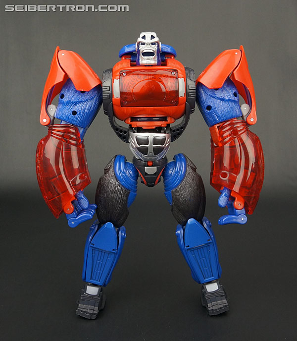 Transformers Platinum Edition Year of the Monkey Optimus Primal (Image #84 of 161)