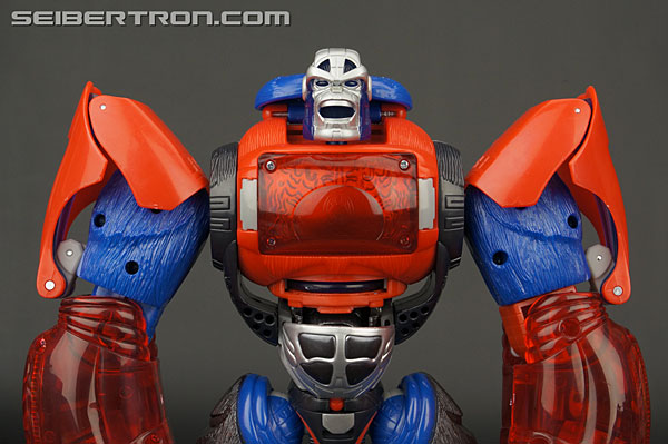 Transformers Platinum Edition Year of the Monkey Optimus Primal (Image #85 of 161)