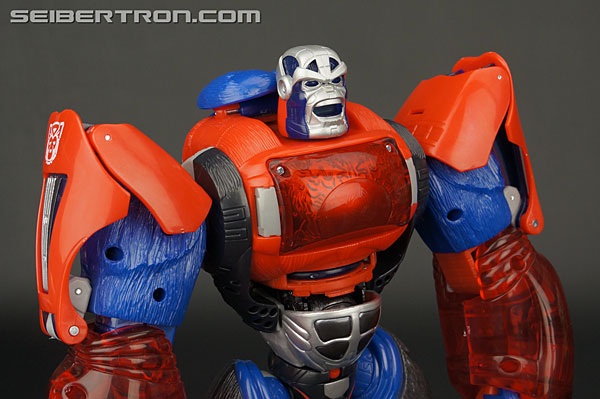 Transformers Platinum Edition Year of the Monkey Optimus Primal (Image #87 of 161)