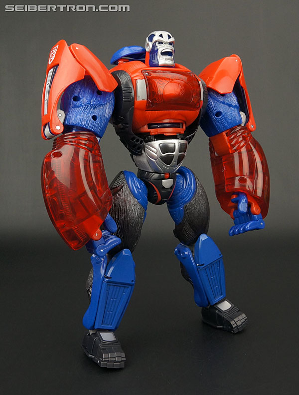 Transformers Platinum Edition Year of the Monkey Optimus Primal (Image #91 of 161)