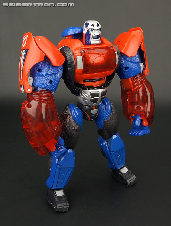 Transformers Platinum Edition Year of the Monkey Optimus Primal (Image #92 of 161)