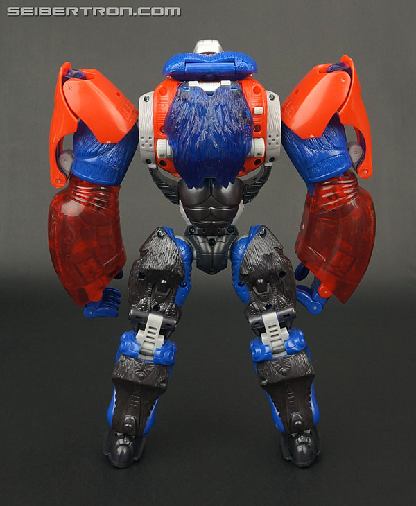 Transformers Platinum Edition Year of the Monkey Optimus Primal (Image #97 of 161)