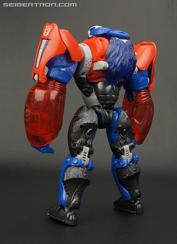 Transformers Platinum Edition Year of the Monkey Optimus Primal (Image #98 of 161)