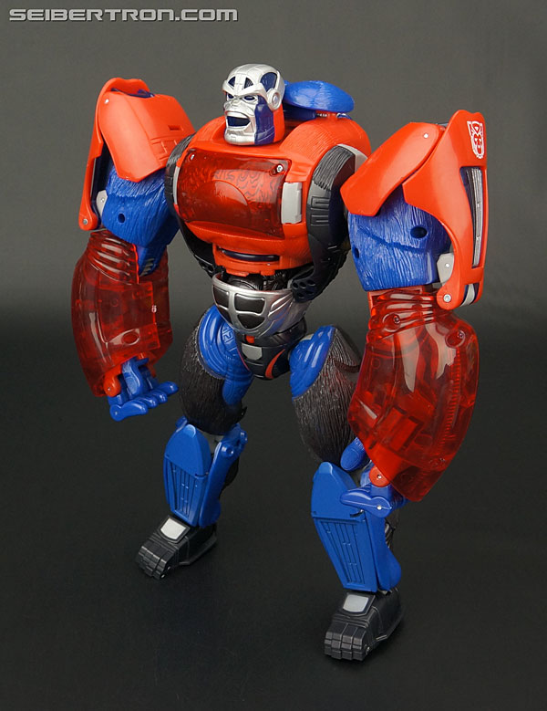 Transformers Platinum Edition Year of the Monkey Optimus Primal (Image #103 of 161)