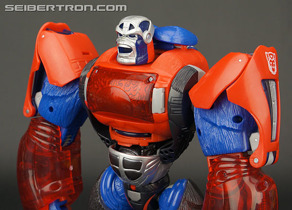 Transformers Platinum Edition Year of the Monkey Optimus Primal (Image #104 of 161)