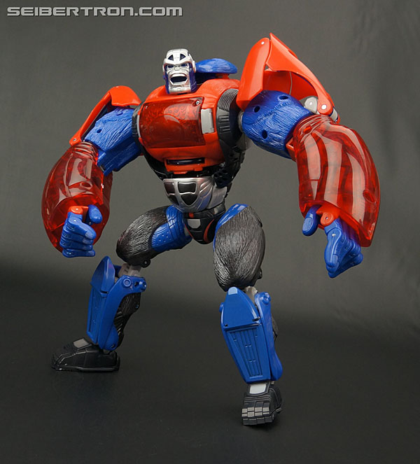 Transformers Platinum Edition Year of the Monkey Optimus Primal (Image #110 of 161)