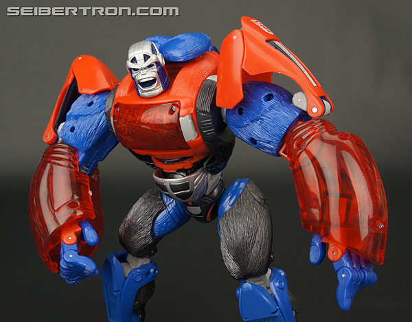 Transformers Platinum Edition Year of the Monkey Optimus Primal (Image #115 of 161)