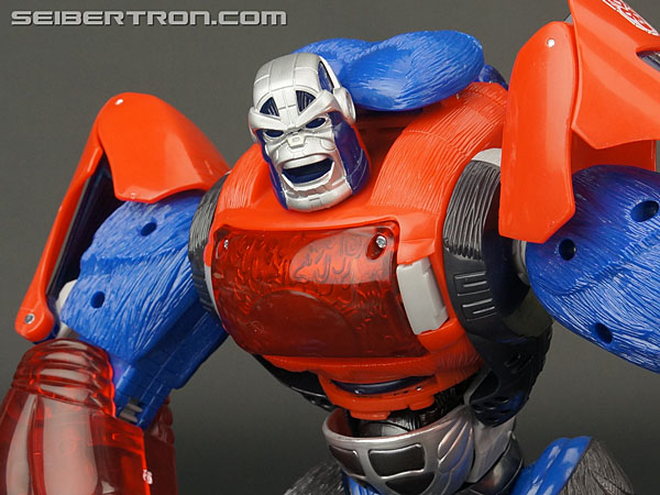 Transformers Platinum Edition Year of the Monkey Optimus Primal (Image #116 of 161)