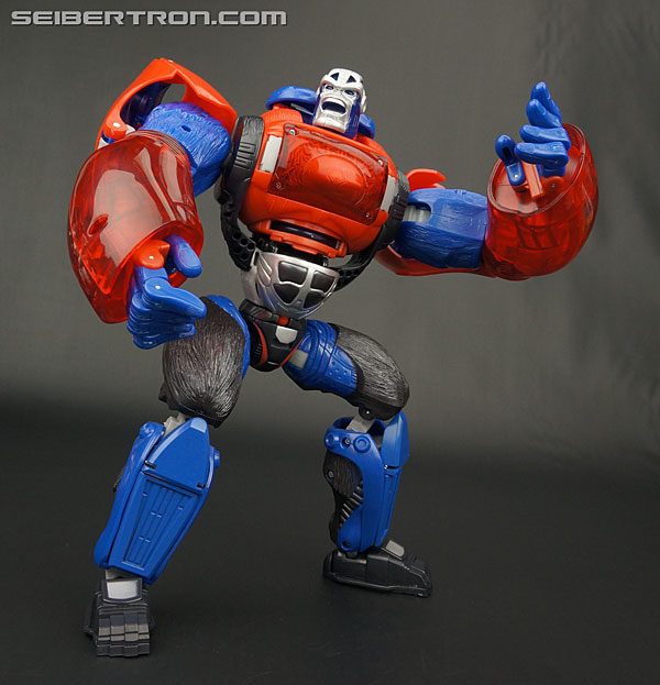 Transformers Platinum Edition Year of the Monkey Optimus Primal (Image #119 of 161)