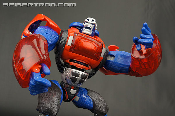 Transformers Platinum Edition Year of the Monkey Optimus Primal (Image #120 of 161)