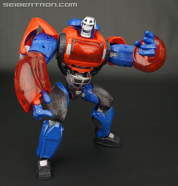 Transformers Platinum Edition Year of the Monkey Optimus Primal (Image #125 of 161)