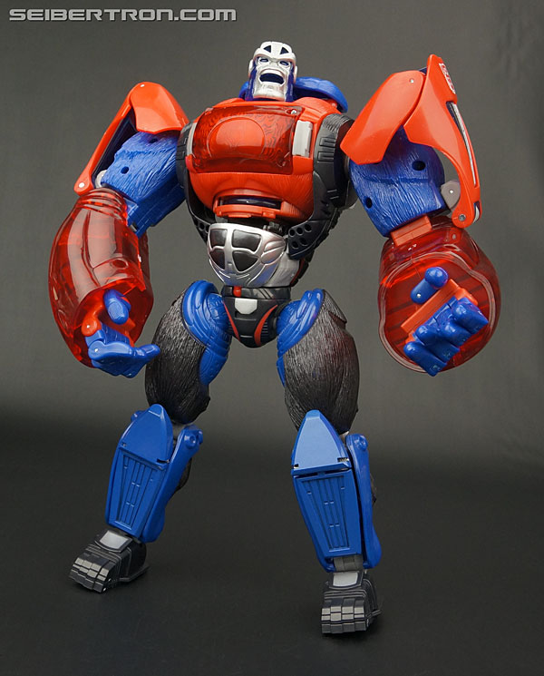 Transformers Platinum Edition Year of the Monkey Optimus Primal (Image #126 of 161)