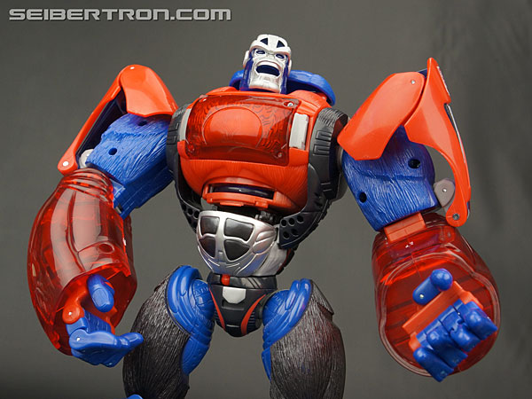 Transformers Platinum Edition Year of the Monkey Optimus Primal (Image #127 of 161)