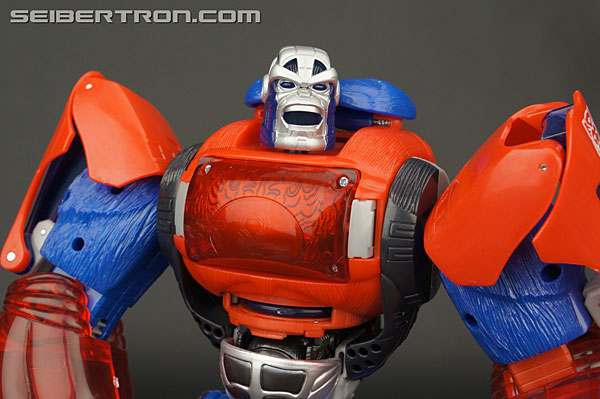 Transformers Platinum Edition Year of the Monkey Optimus Primal (Image #129 of 161)