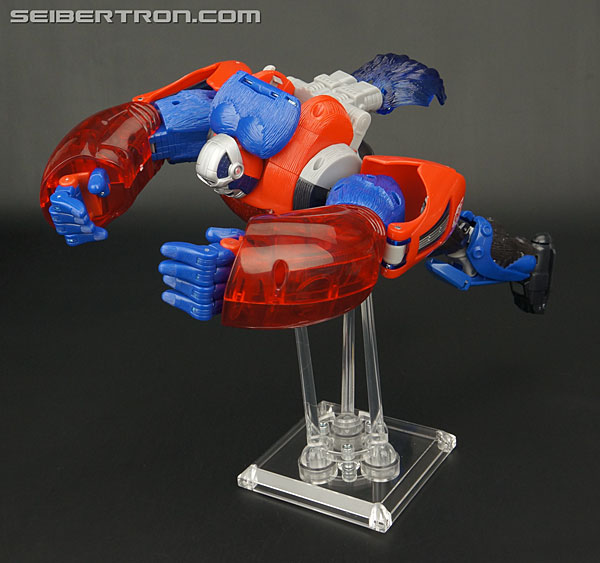 Transformers Platinum Edition Year of the Monkey Optimus Primal (Image #138 of 161)