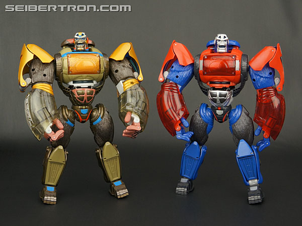 Transformers Platinum Edition Year of the Monkey Optimus Primal (Image #145 of 161)