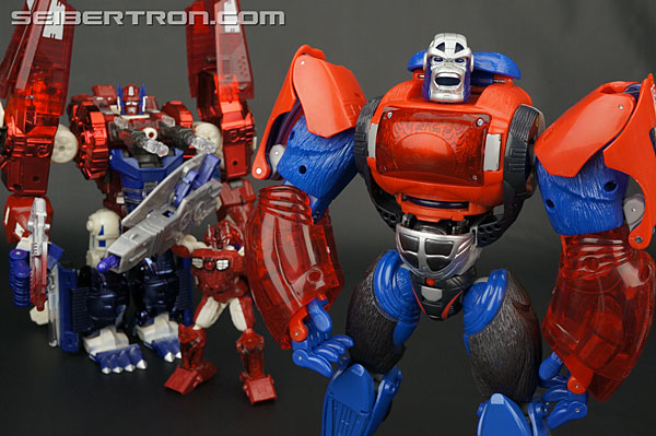 Transformers Platinum Edition Year of the Monkey Optimus Primal (Image #161 of 161)