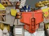 Platinum Edition Year of the Snake Omega Supreme - Image #245 of 274