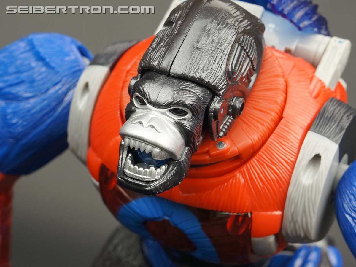 Transformers Platinum Edition Year of the Monkey Optimus Primal (Image #61 of 161)