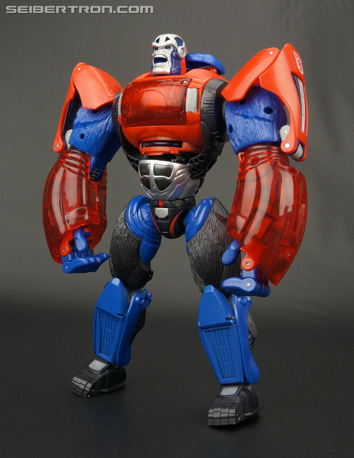 Transformers Platinum Edition Year of the Monkey Optimus Primal (Image #102 of 161)