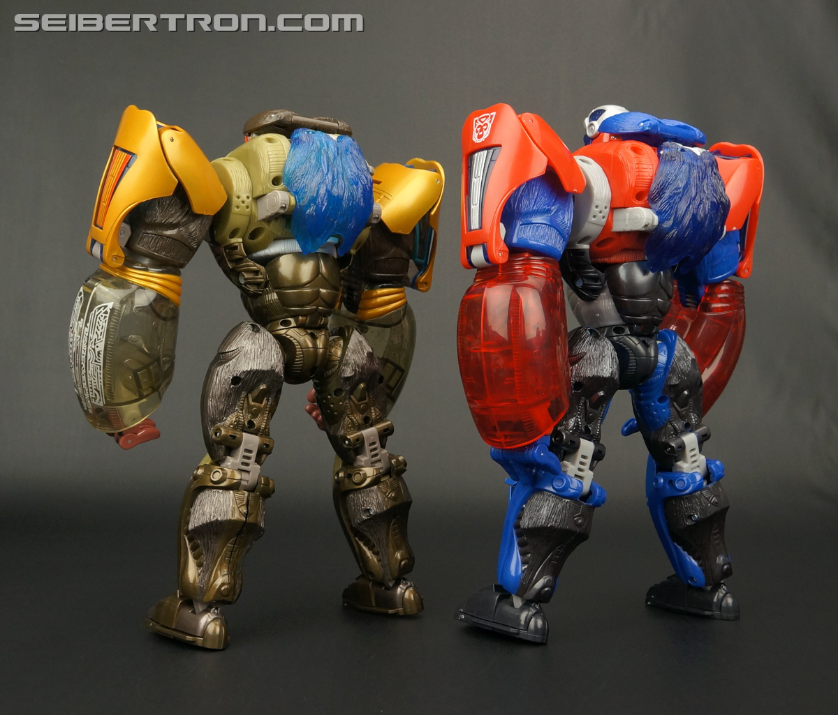 Transformers Platinum Edition Year of the Monkey Optimus Primal (Image #150 of 161)