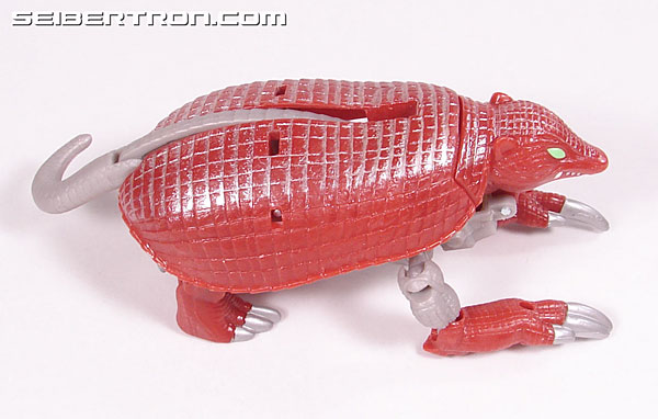 Transformers Beast Wars Neo Bump Toy Gallery (Image #19 of 83)