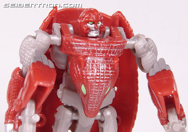 Transformers Beast Wars Neo Bump (Image #62 of 83)