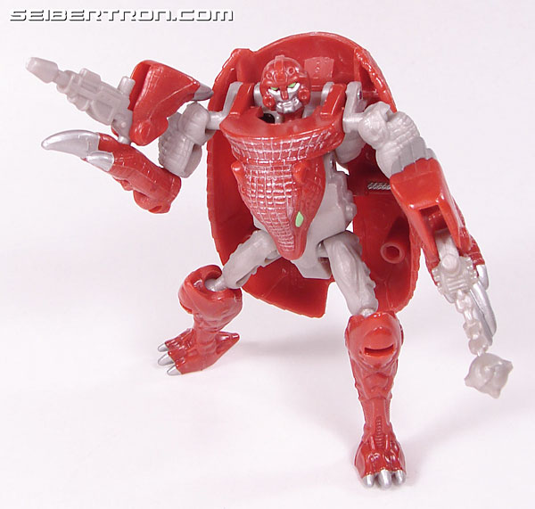 Transformers Beast Wars Neo Bump (Image #67 of 83)