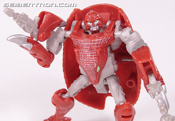 Transformers Beast Wars Neo Bump (Image #68 of 83)