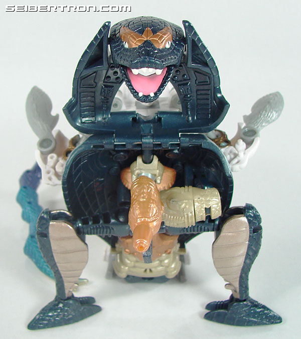 Transformers Beast Wars Neo Cohrada (Colada, Corahda) (Image #65 of 124)