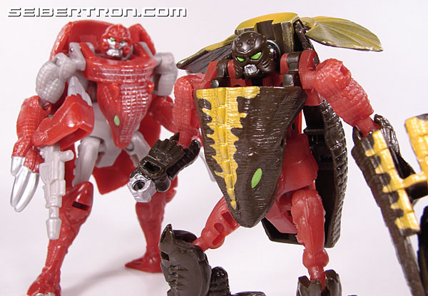 Transformers Beast Wars Neo Crazybolt (Image #67 of 72)