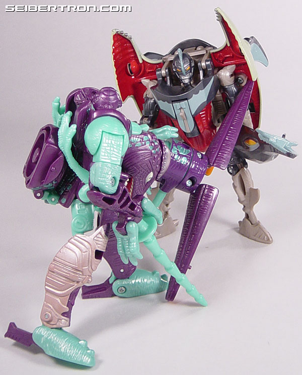 transformer beast war neo sub indo