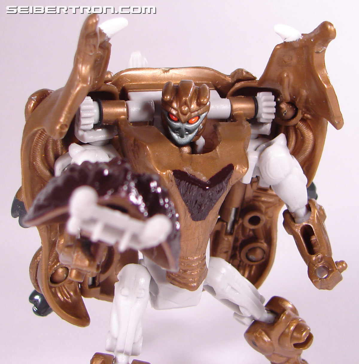 Transformers Beast Wars Neo Randy (Image #56 of 69)