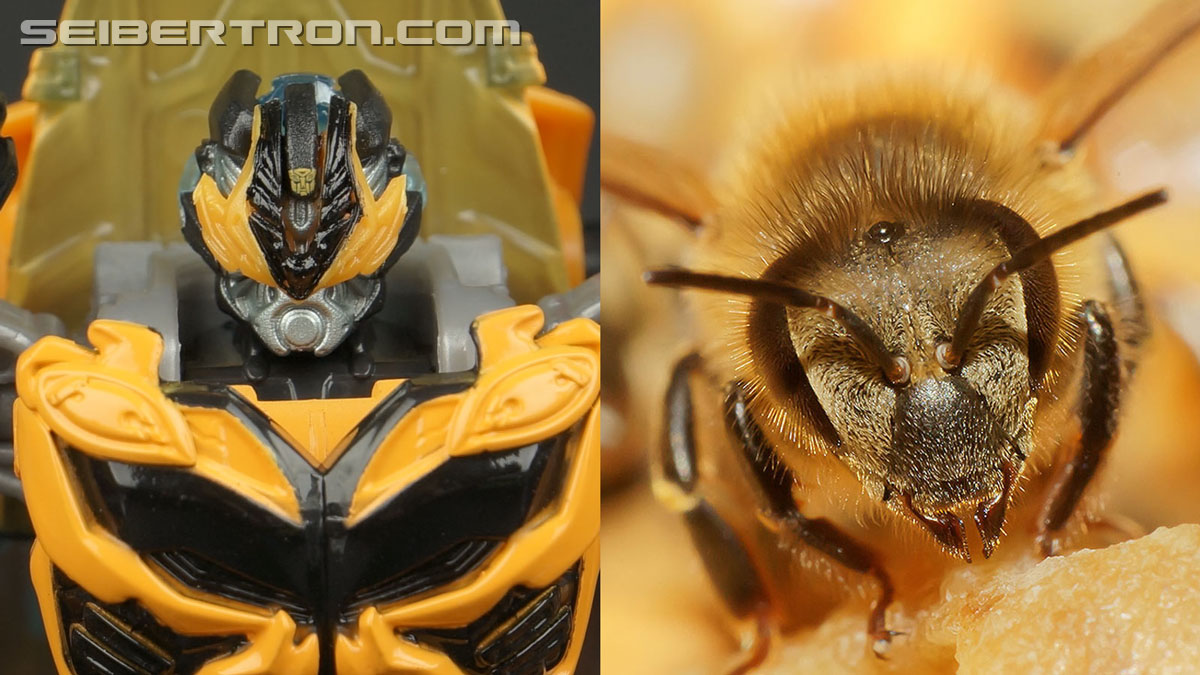 Transformers Takara Tomy: Movie Advanced Bumblebee (Image #84 of 155)