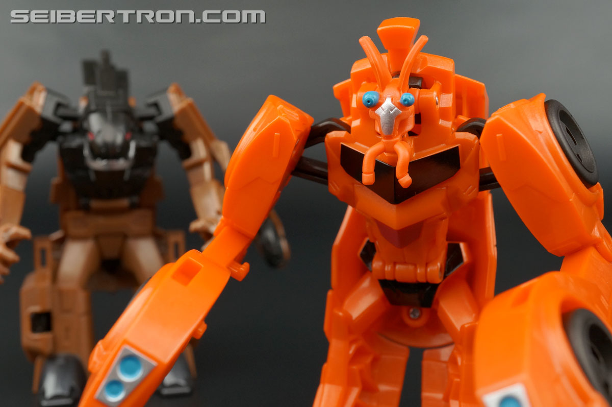 Transformers: Robots In Disguise Bisk (Image #74 of 80)
